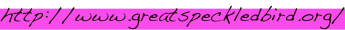shapeimage_2_link_0