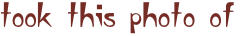 shapeimage_3_link_1
