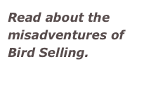 Read about the misadventures of Bird Selling.
http://chrisschroder.typepad.com/ink_by_the_barrel/1998/02/the-great-speck.html
