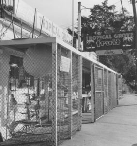 19790617 - ATLANTA, GA -- The Tropical Grove Fruit Stand at 421 Ponce de Leon Avenue. (CHERYL BRAY/AJC staff) 1979