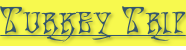 shapeimage_3_link_0